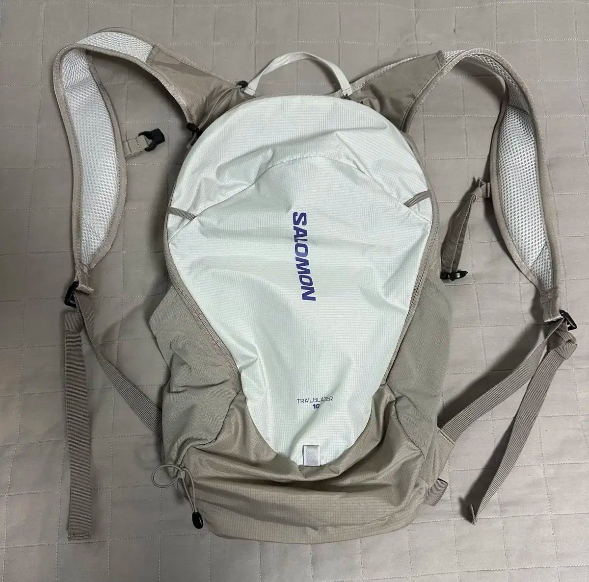 Salomon サロモン トレイルブレイザー 10