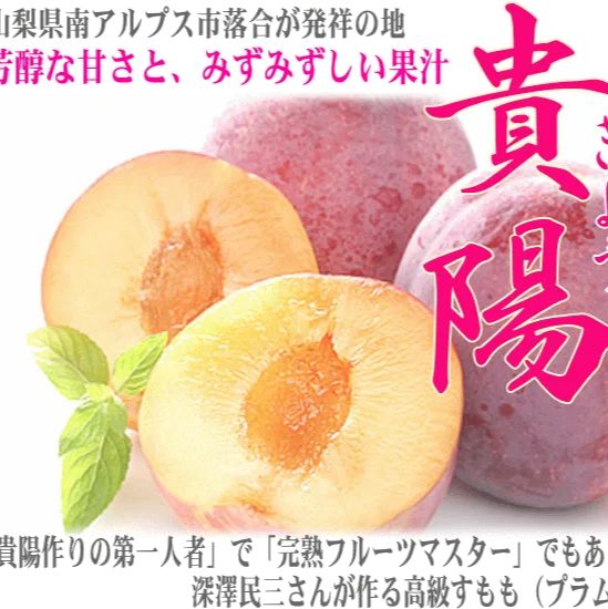 山梨県産すもも【貴陽/きよう】1.5kg箱（大玉5-7玉入） 7月下旬