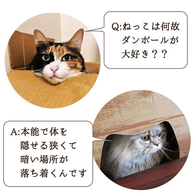 キャットボックス 猫タワー 爪研ぎ 4個セット 猫グッズ 猫ちゃん キャットボックス 猫タワー 爪研ぎ 4個セット 猫グッズ 猫ちゃん