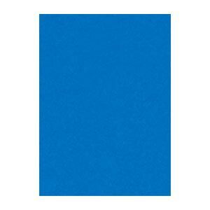 文運堂 ニュー Ｒ 10-239 あお