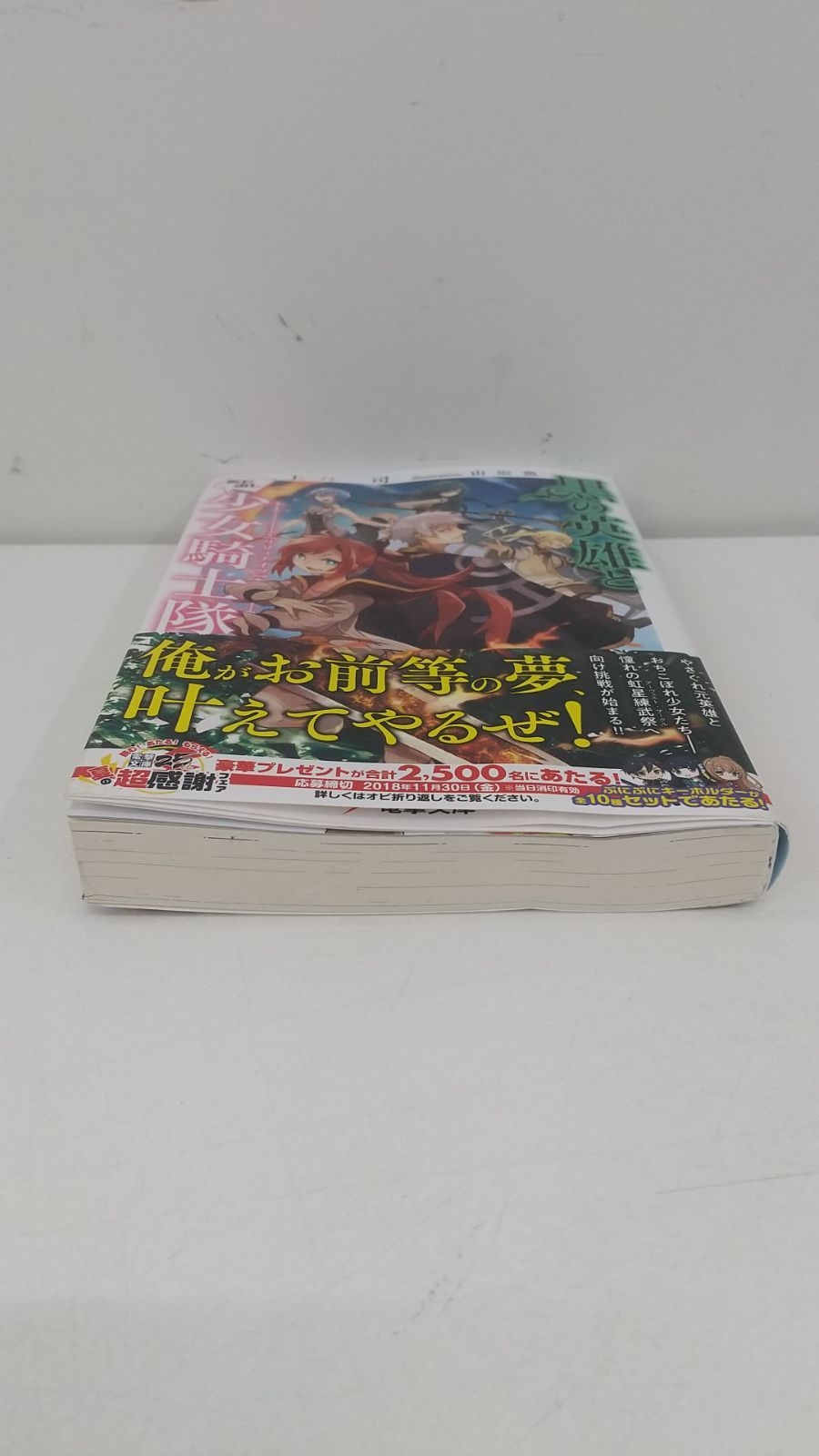 メルカリshops 黒の英雄と駆け出し少女騎士隊 上月司 小説 ライトノベル 古本