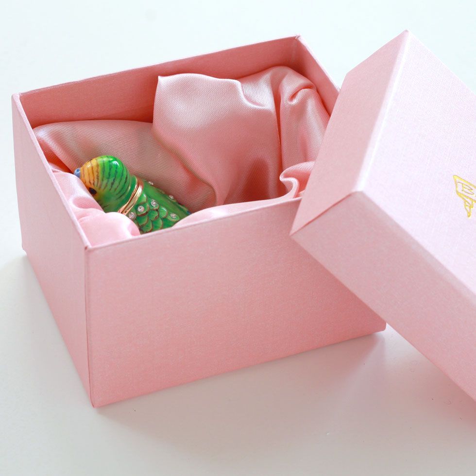 MN007 ミニチュアインコ セキセイインコ 【ピィアース正規品
