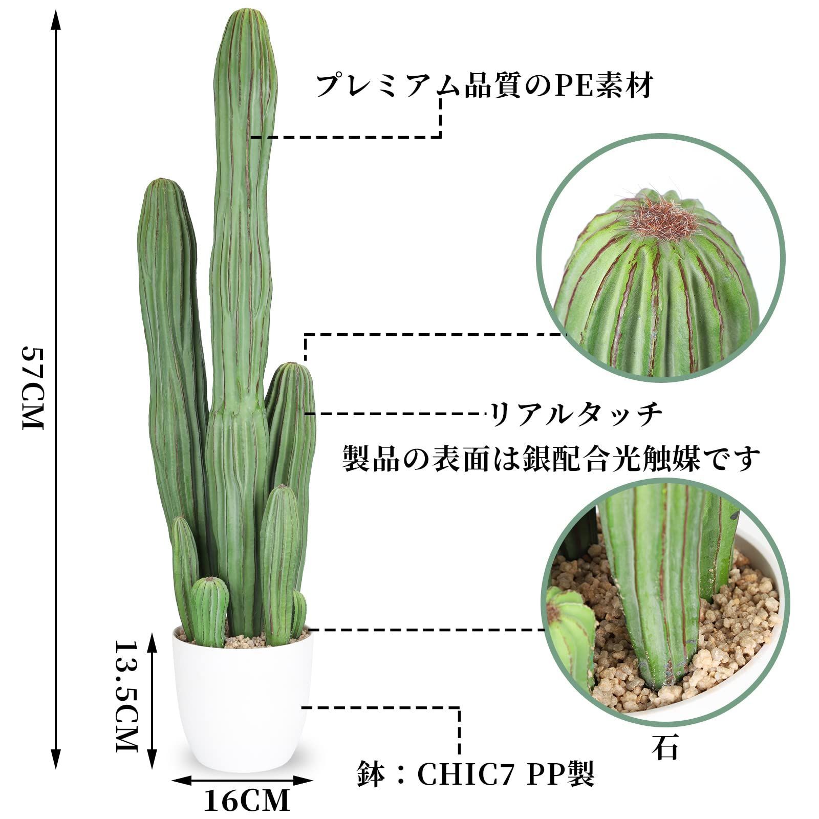 サボテン デコレーション