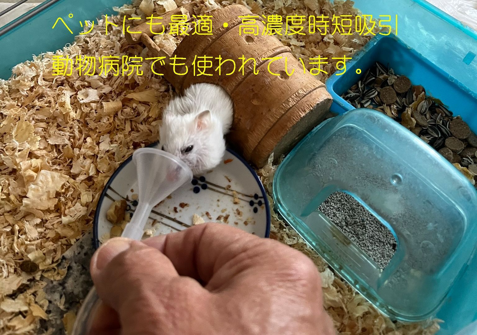 最新モデル