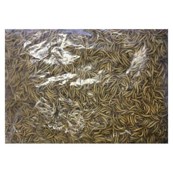 南桂子】魚と網 1967年 カラーエッチング 限定50部 サイン入 額装済 南