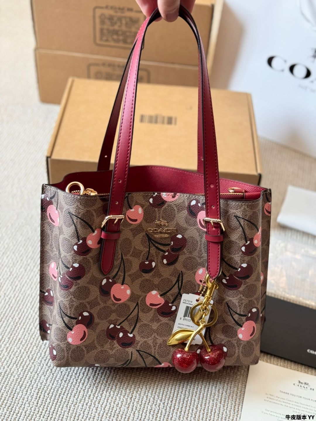  今日 Coach Mollie 25 トートバッグ 在庫 の な価格です ハンドバッグ バッグ