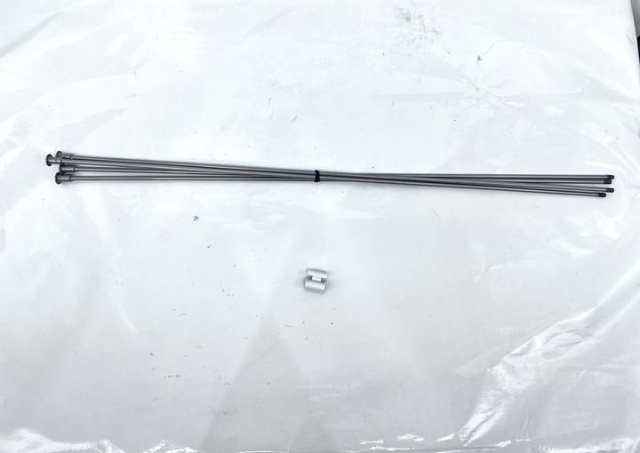 ホワイト レギュラー