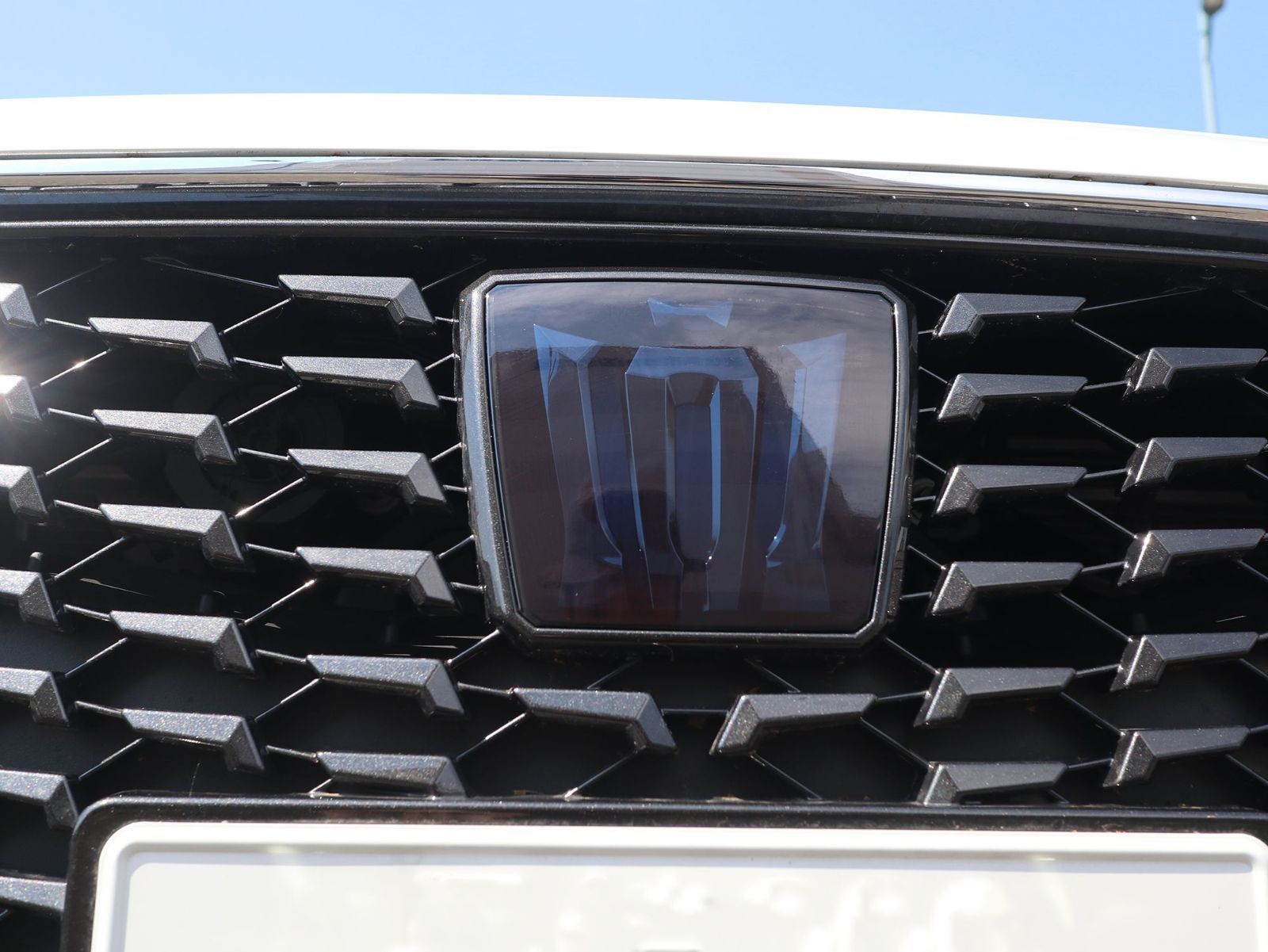 Tint+何度も貼れるエンブレム スモークフィルム 220 クラウン