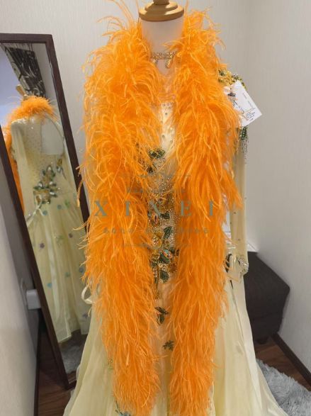 オーストリッチファー 羽根 羽 社交ダンス モダンドレス ラテンドレス スタンダード パーティ―ドレス ファー 1本