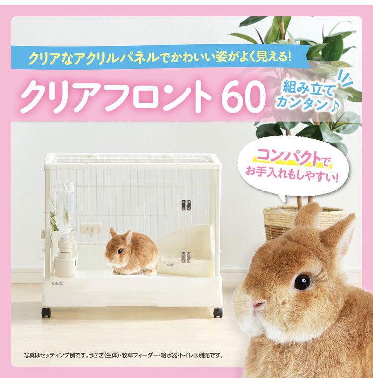 サークル