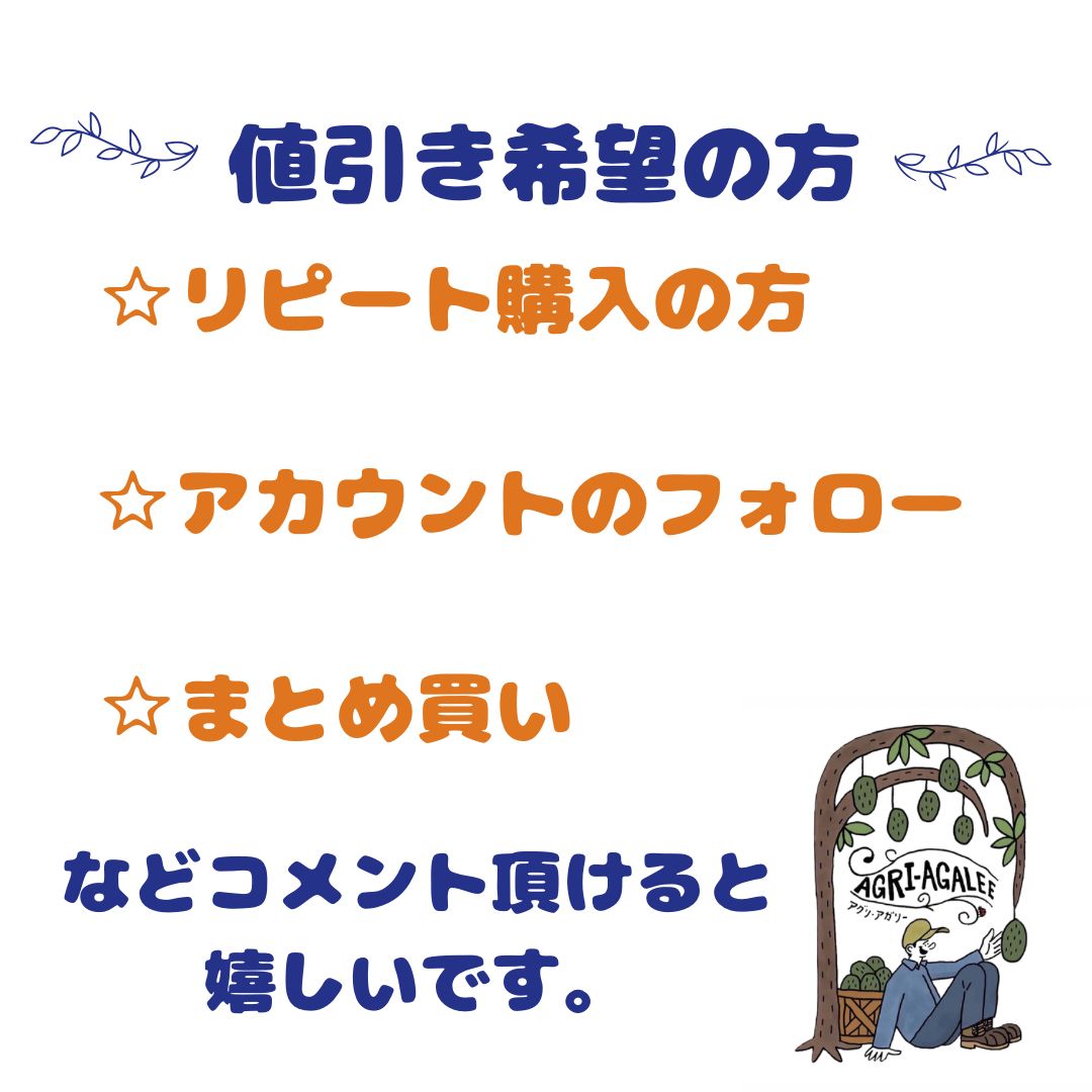 高級バナナ】沖縄☆島バナナの苗 5本 まとめ売り - メルカリ