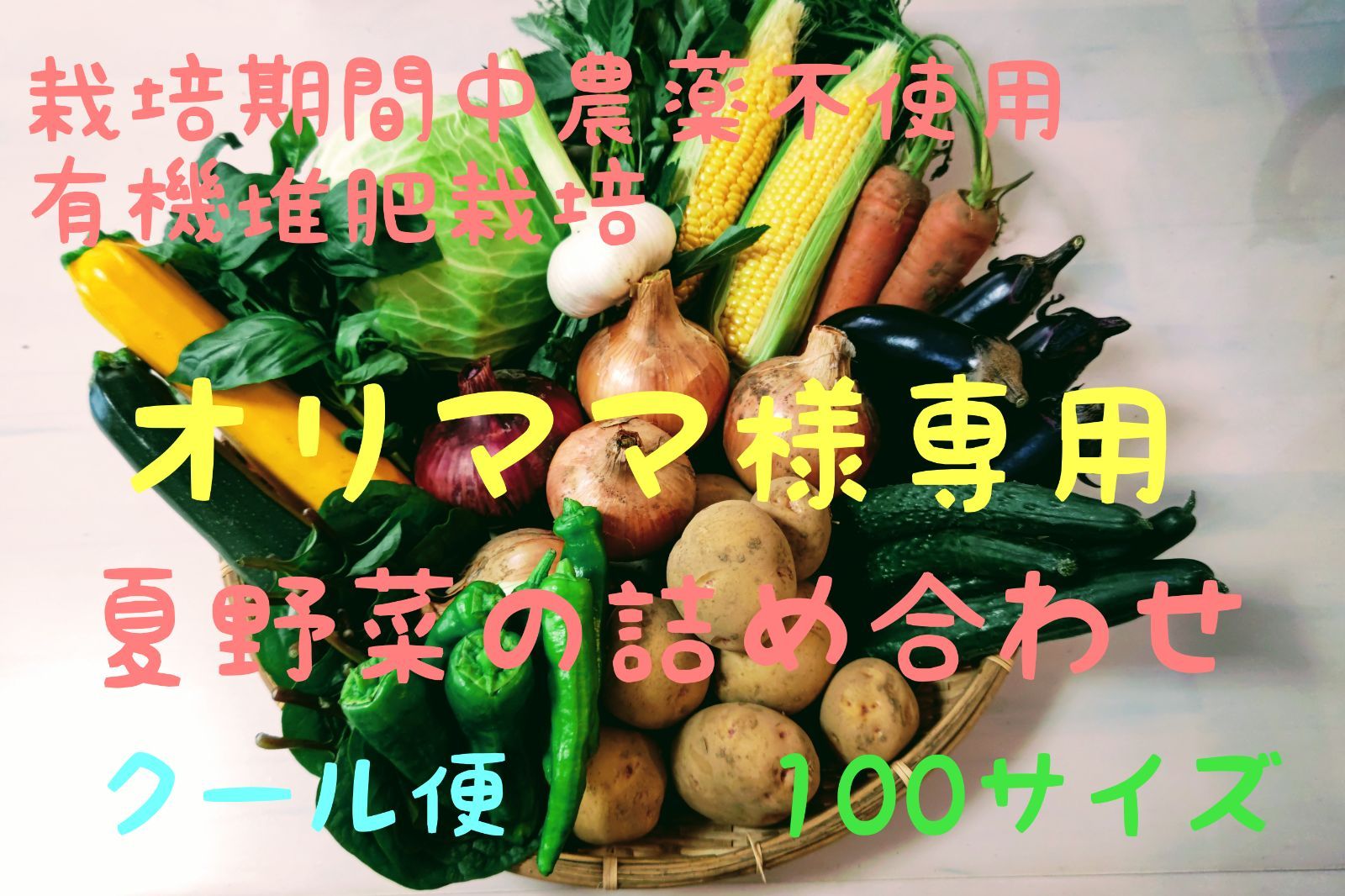 オリママ様専用】夏野菜の詰め合わせ（クール便） - メルカリ