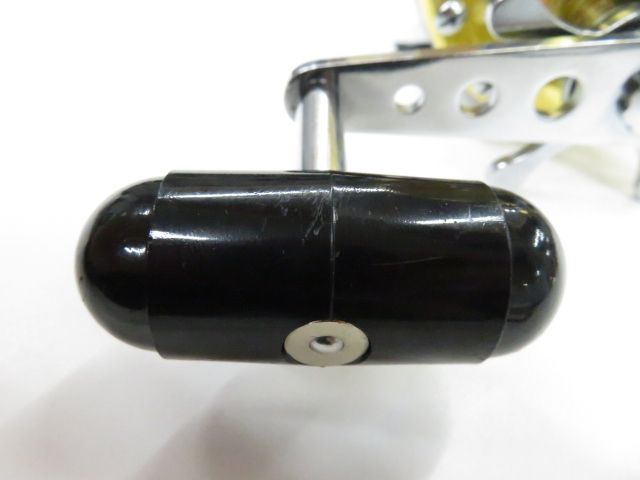 ダイワ シーライン