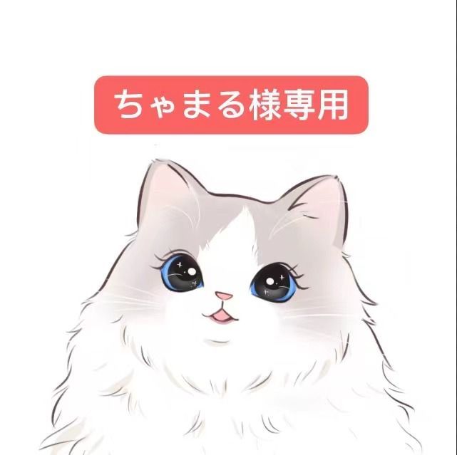ちゃまる様専用 - メルカリ