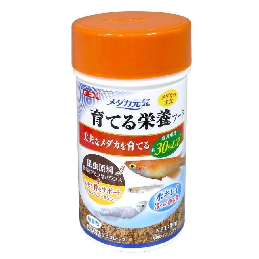 FINAL FANTASY チョコボ バンドル 2個セット 日本語版