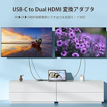 HDMI Type-C変換アダプター デュアルHDMI 拡張器 2画面出力 4-in-1 USB-C HDMI 拡張【HDMI 2 つ+USB3.0+PD充電】マルチディスプレイアダプタ Type C HDMI 変換 マルチディスプレイ 3画 - メルカリ