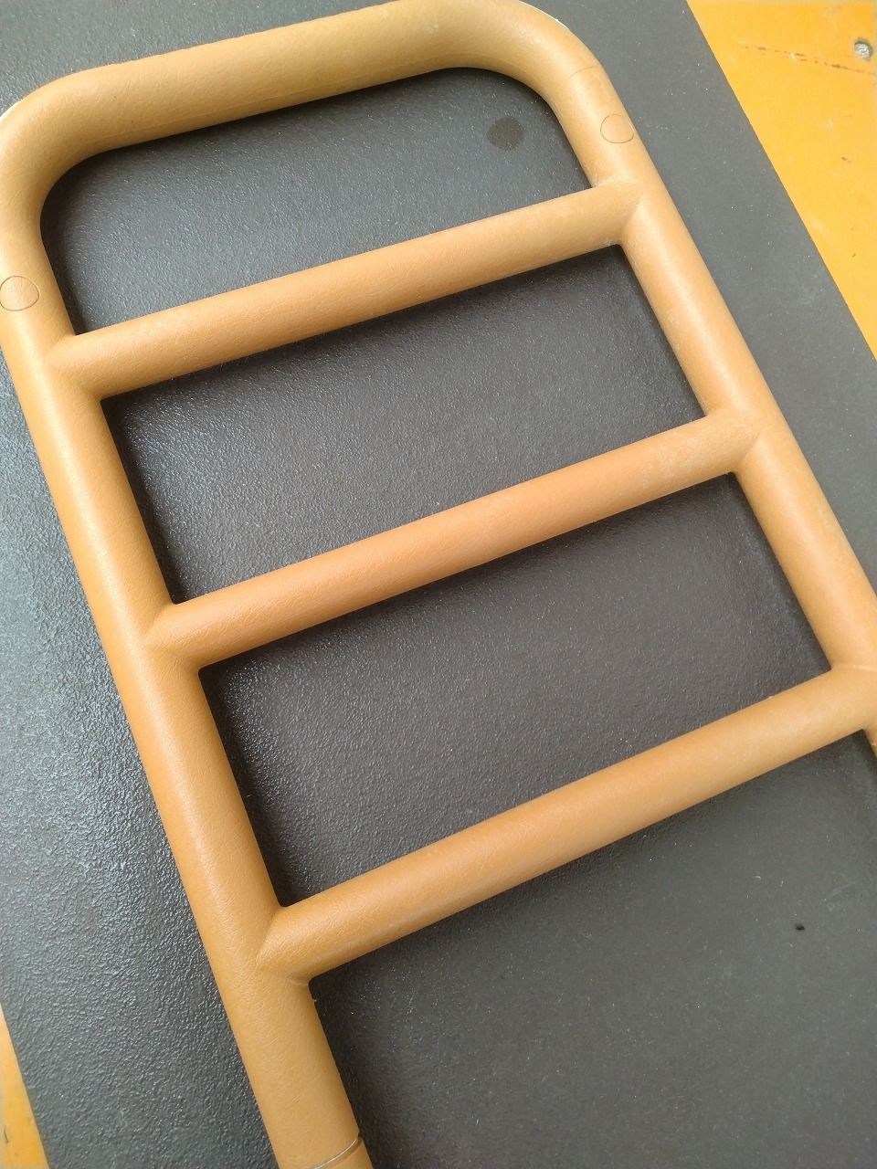 ルーツ