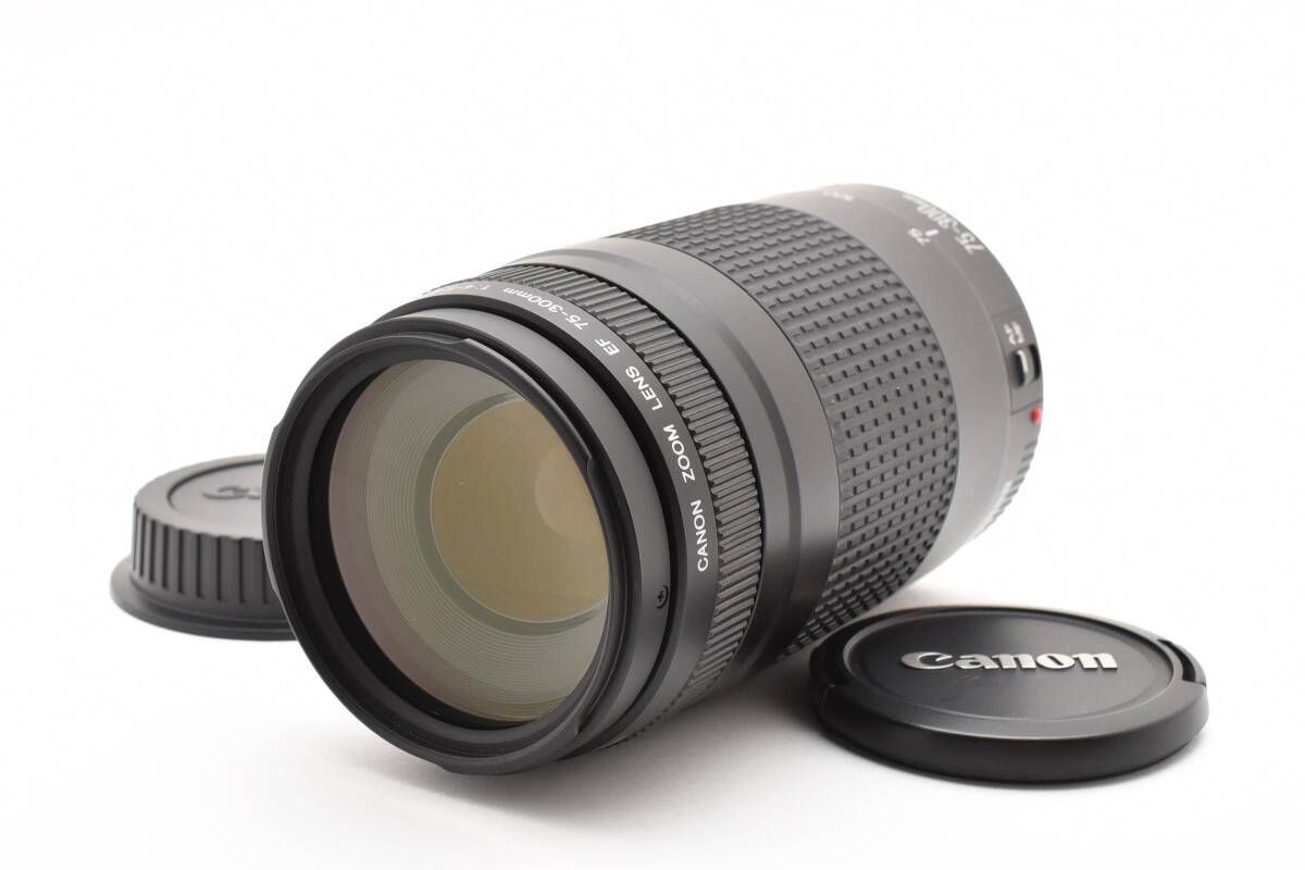 中古】キヤノン（CANON） EF 75-300/4-5.6 在庫一覧｜カメラのキタムラ