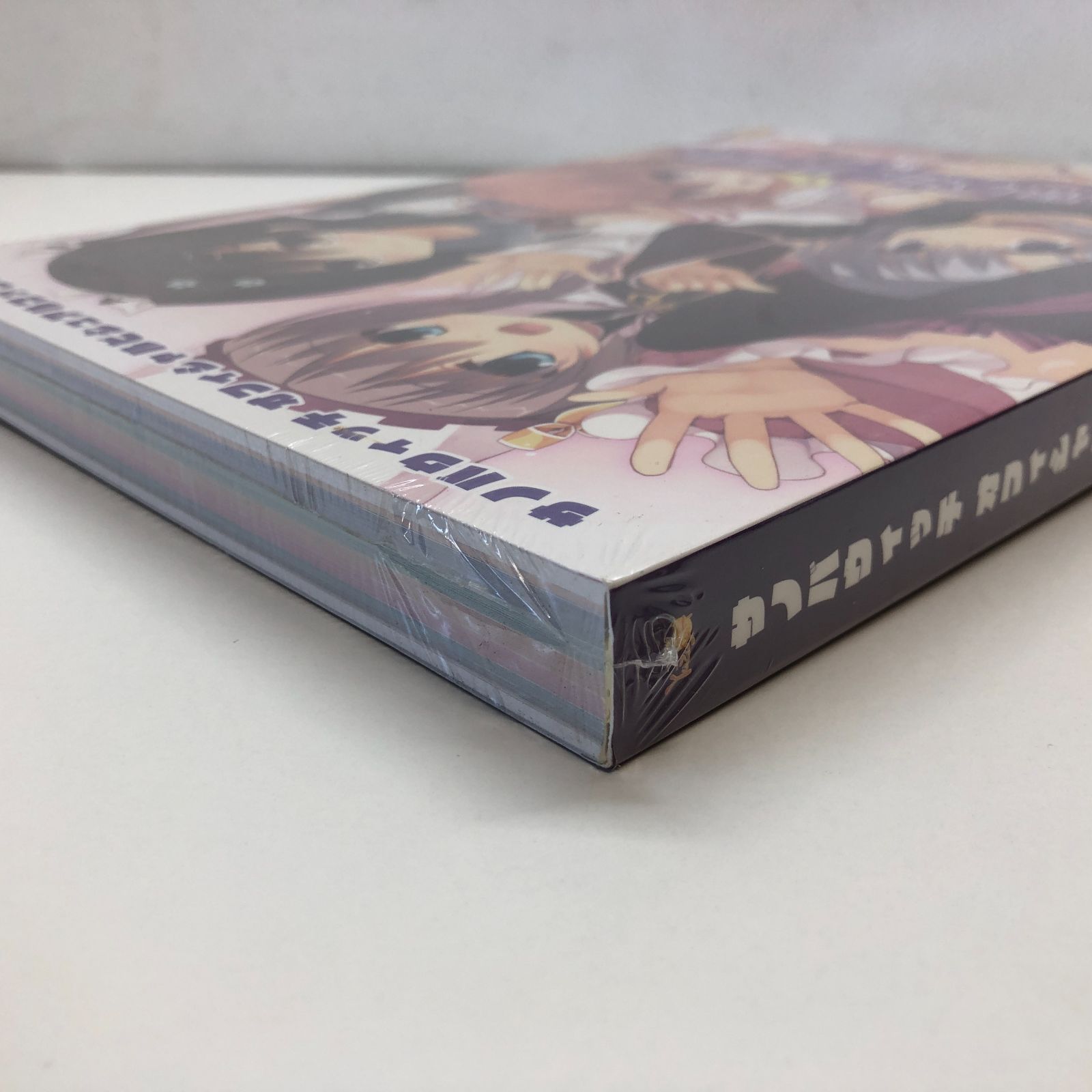 オフィシャルビジュアルファンブック