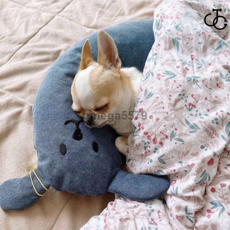 犬