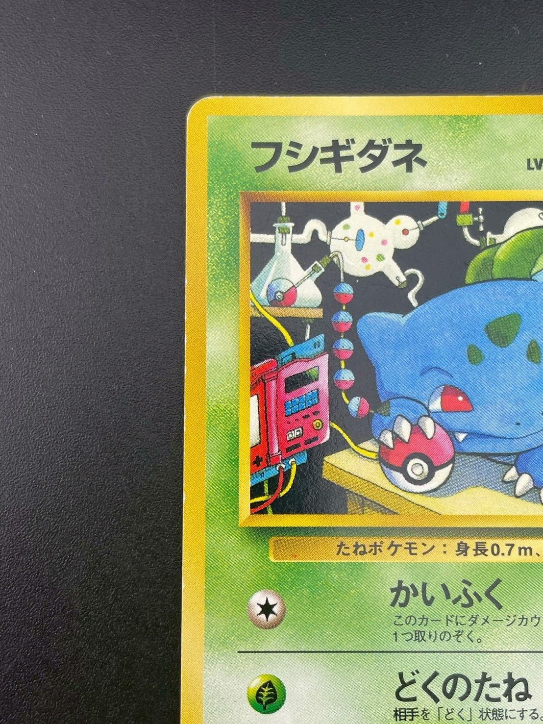 フシギダネlv.15 クイックスターターギフト産 ポケモンカード】 フシギダネ LV.15 | トレカの激安通販トレトク【公式】