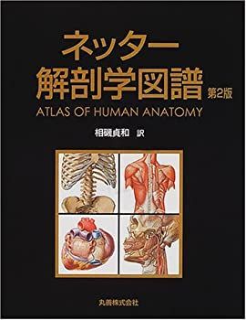 【中古】 ネッター解剖学図譜