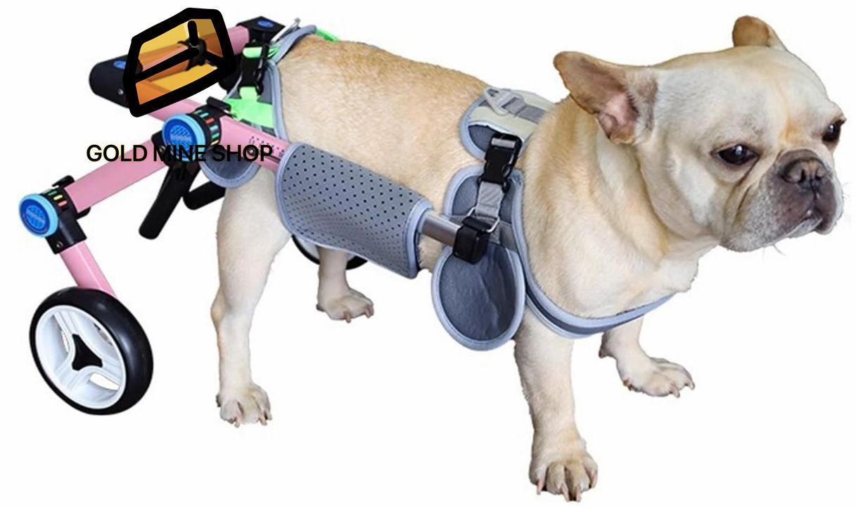 チワワ4輪 リハビリ 食事補助 犬用車椅子 介護用 犬の歩行器