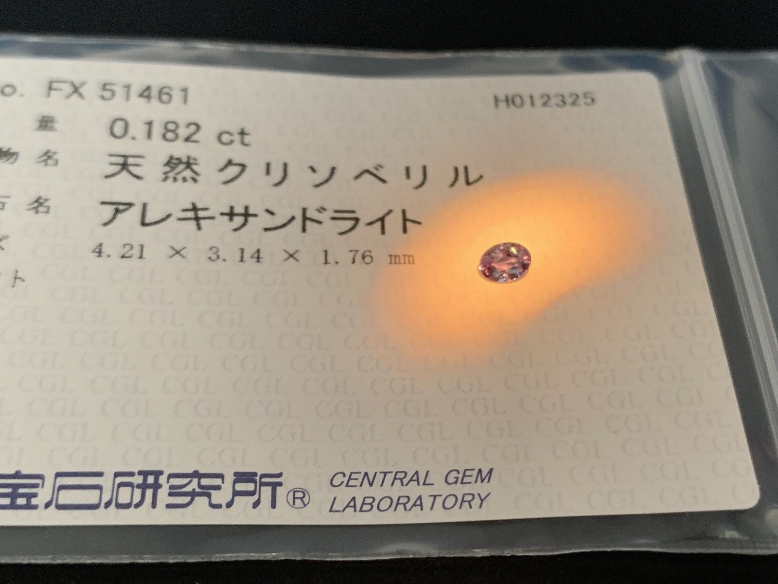 brightwin ポラロイド　当選品 BRIGHTWIN」のYahoo!リアルタイム検索 - X（旧Twitter）をリアルタイム検索