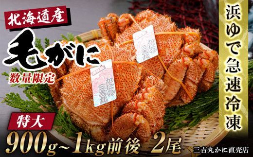 【超特大】北海道産 冷凍ボイル毛ガニ (900g-1kg前後) 2尾