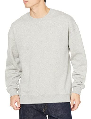Size L_Color グレー フルーツオブザルーム トレーナー ヘビーオンススウェット クルーネック ヘビーウェイト グレー L