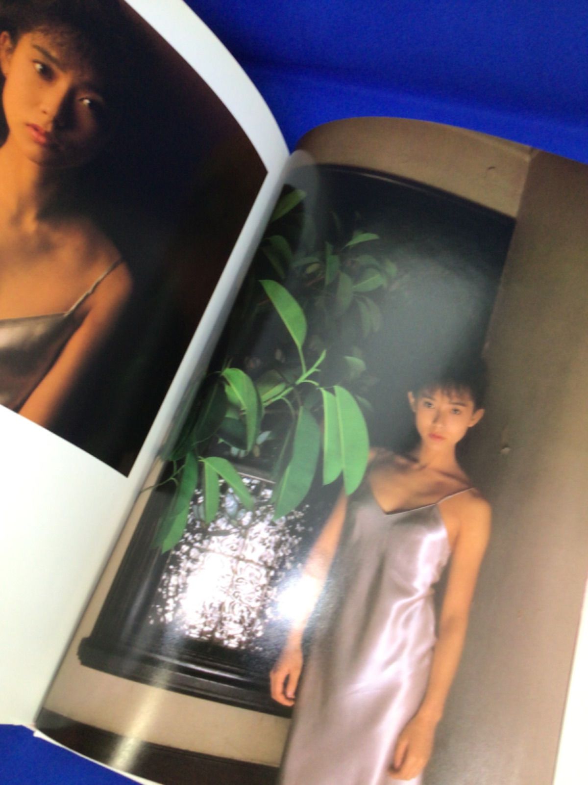 斉藤慶子写真集 採光の個室