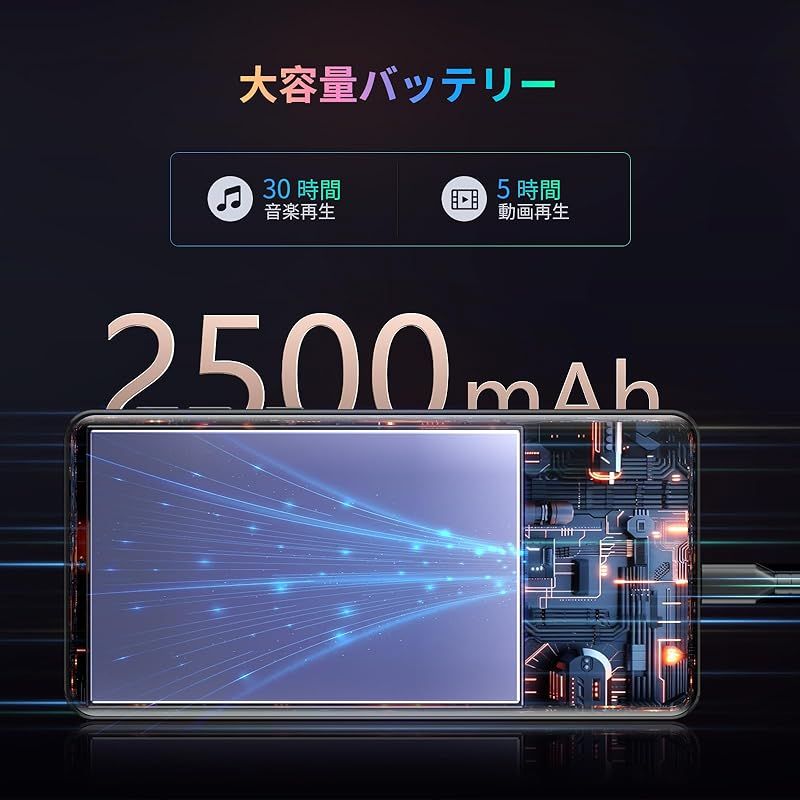 5.5インチ