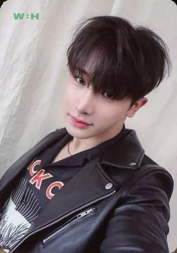 中古】コレクションカード(男性) Monsta X/ウォノ(Wonho)/裏面背景緑 中古】コレクションカード(男性) Monsta X/ウォノ(Wonho)/裏面背景緑