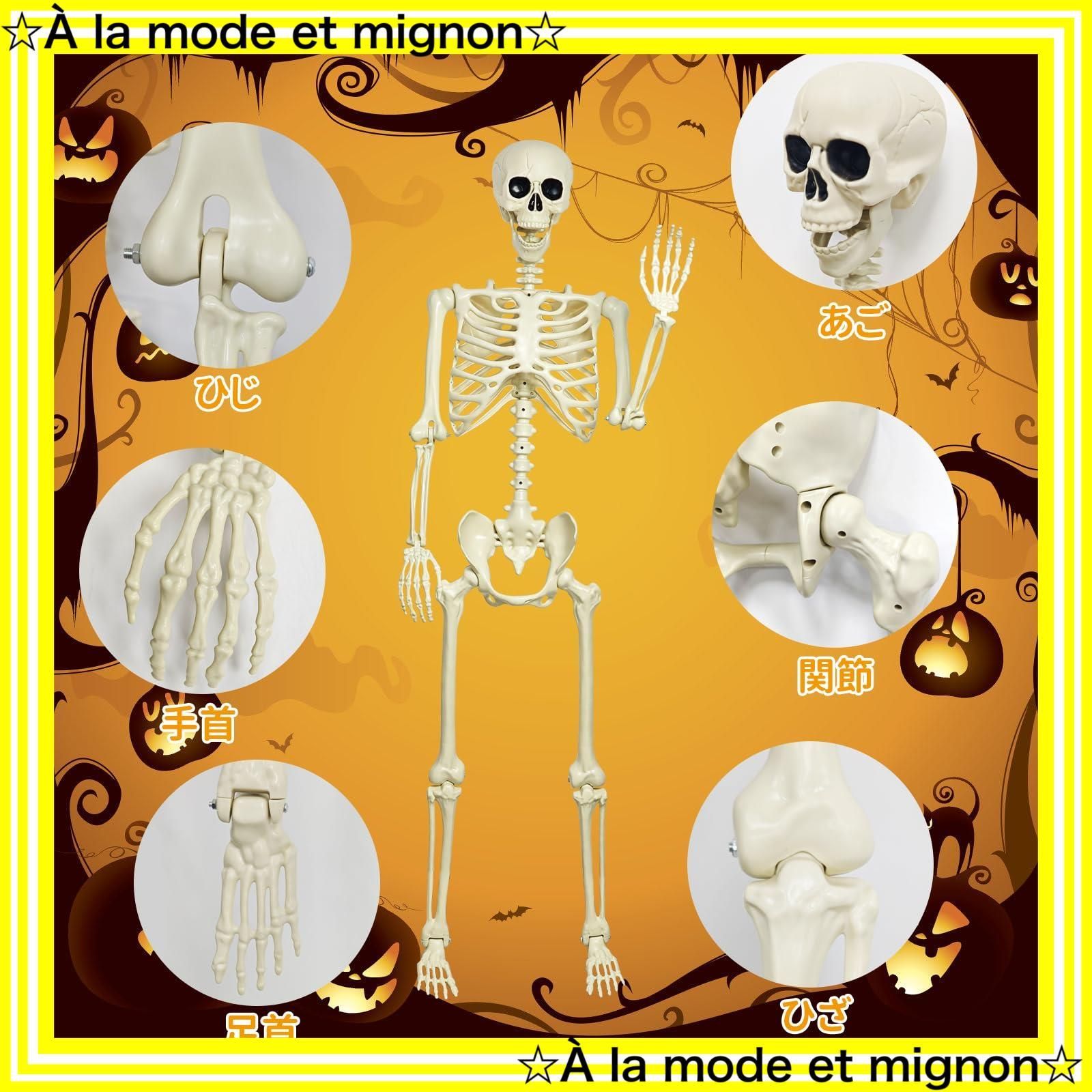 未開封】スケルトン 海賊 ガイコツ 152cm 模型 お化け屋敷 ハ