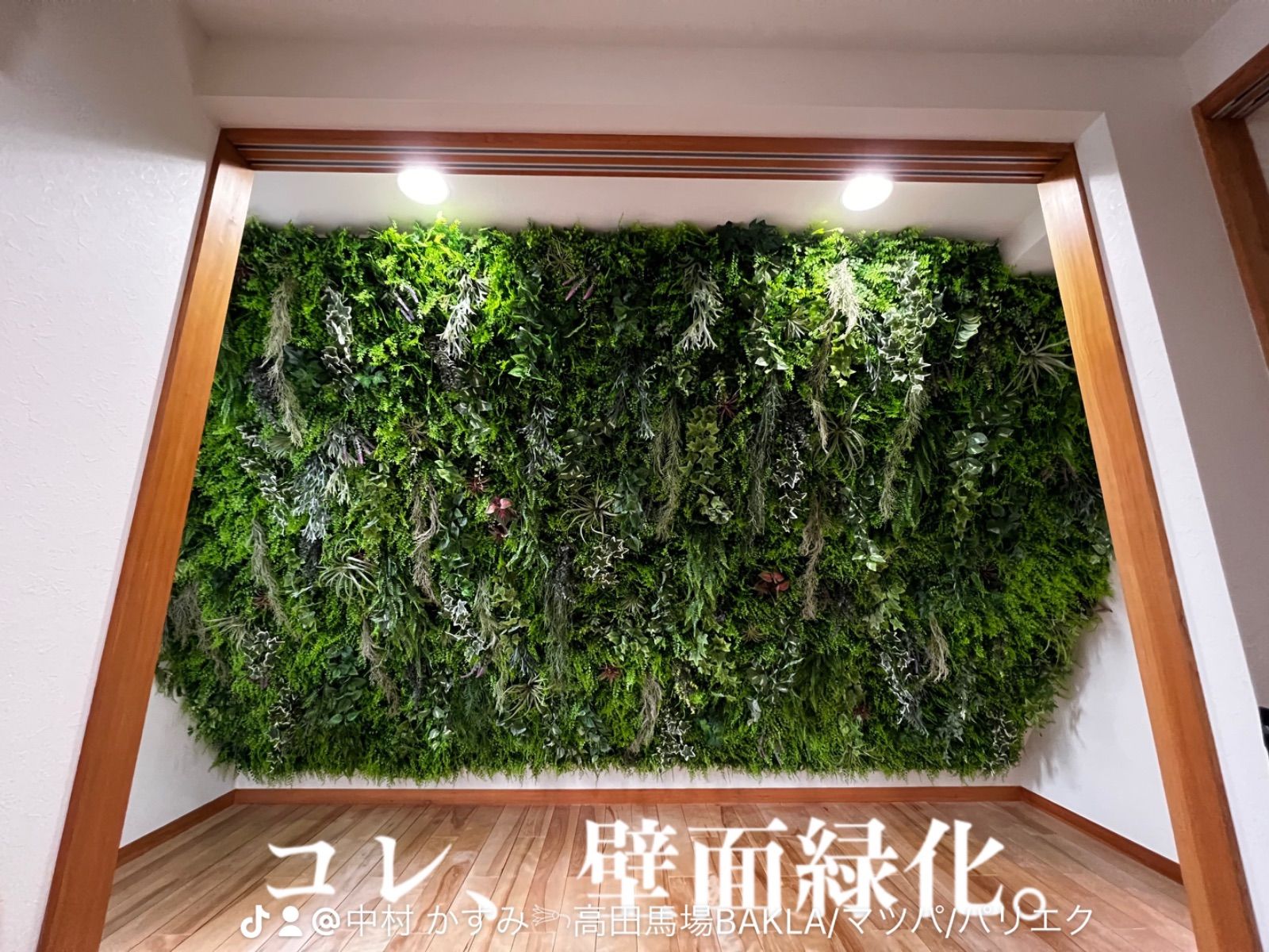 大型インテリア/壁面緑化/店舗・サロン用にもᵕ̈ 大型インテリア/壁面緑化/店舗・サロン用にもᵕ̈