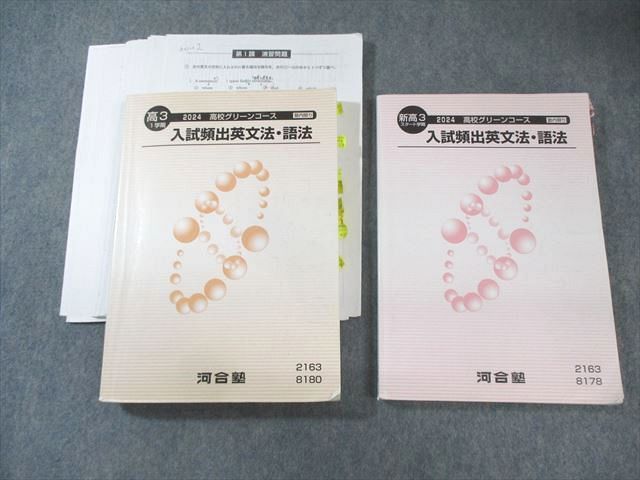 河合塾 高校グリーンコース 入試頻出英文法・語法 2024 スタート学期/1学期 計2冊 040M0D 河合塾 高校グリーンコース 入試頻出英文法・語法 2024 スタート学期/1