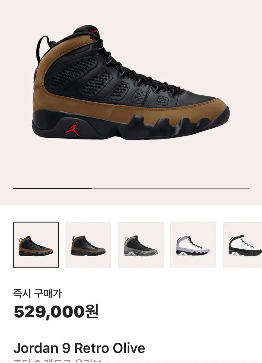 NIKE ナイキ ジョーダン 9 レトロ オリーブ 300
