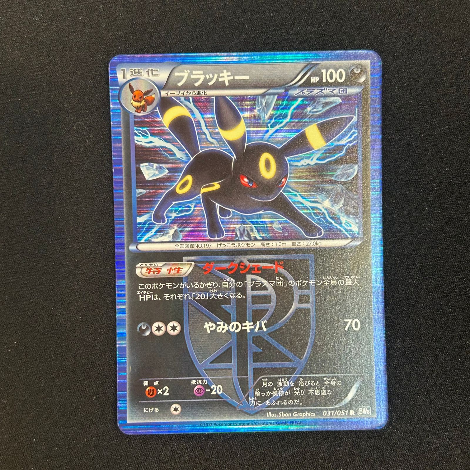 ポケモンカード ブラッキー プラズマ団 BW8 ライデンナックル