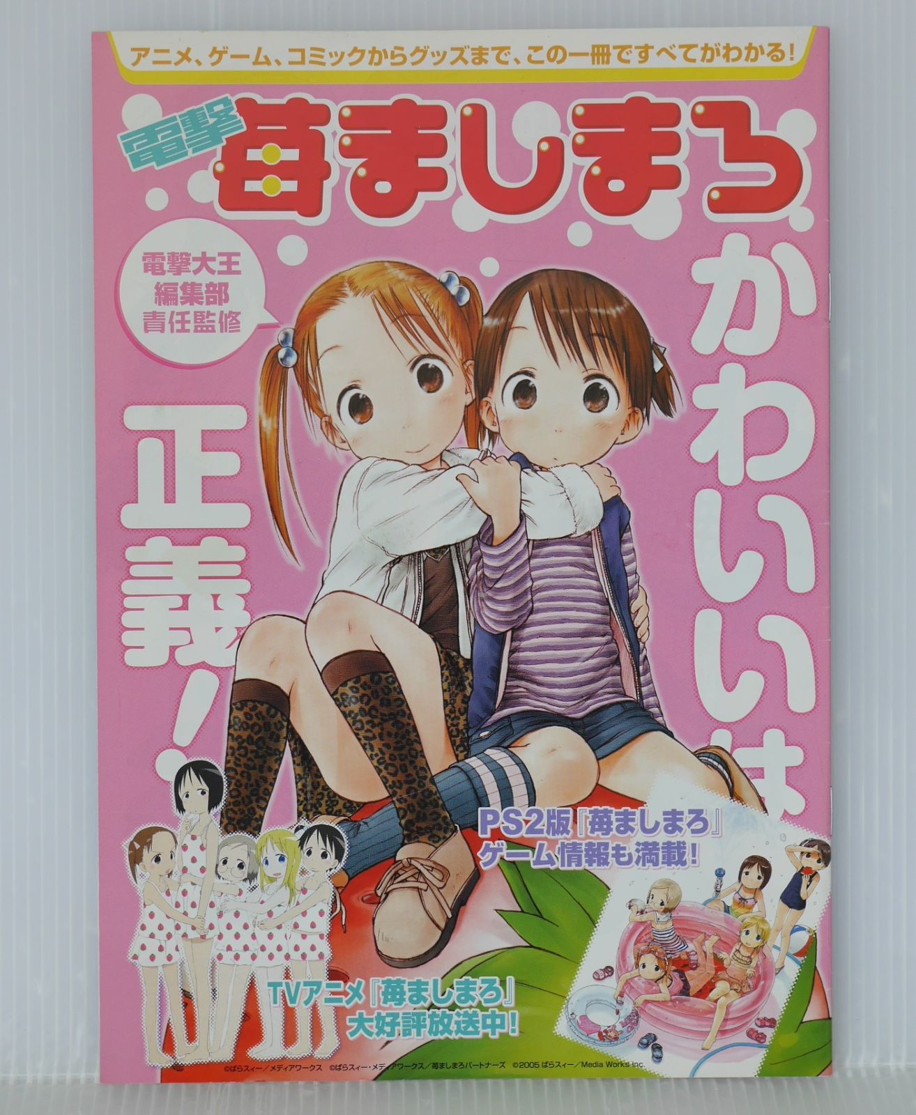 非売品冊子) 電撃 苺ましまろ - Strawberry Marshmallow Booklet