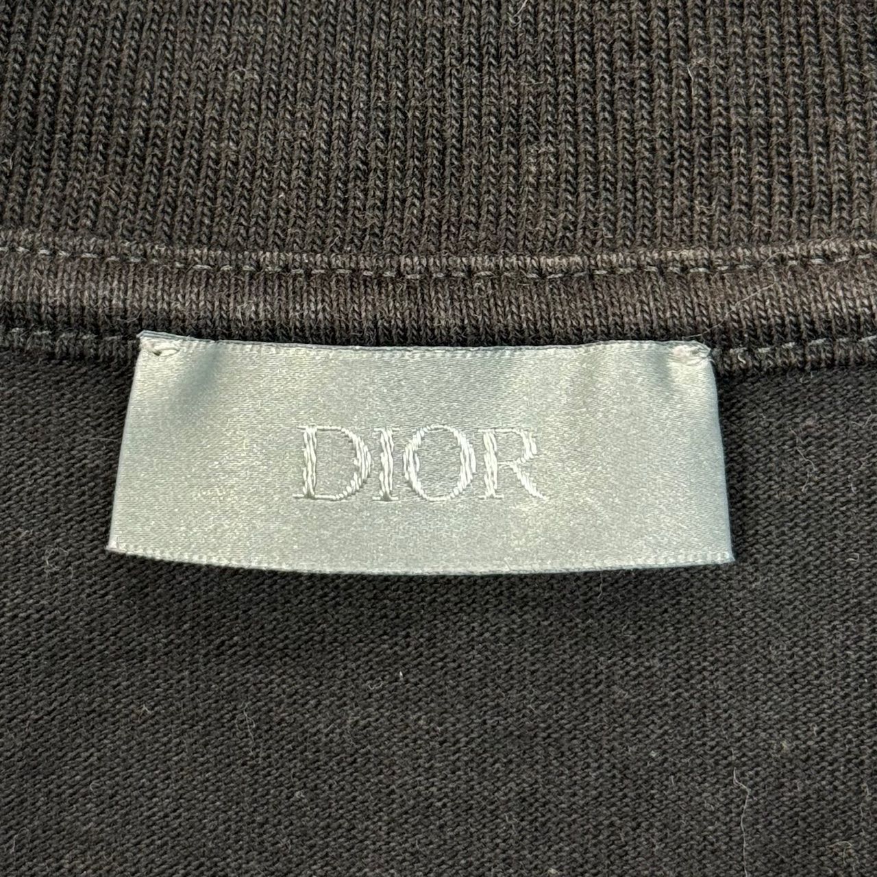 国内正規 Dior × Shawn Stussy 20AW ロゴTシャツ カットソー