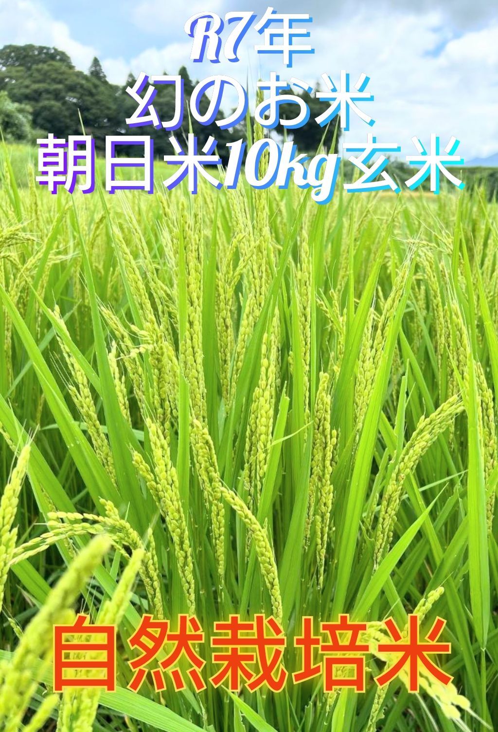 自然栽培 くず米 令和6年産 送料込み 自然栽培米を農家直送｜