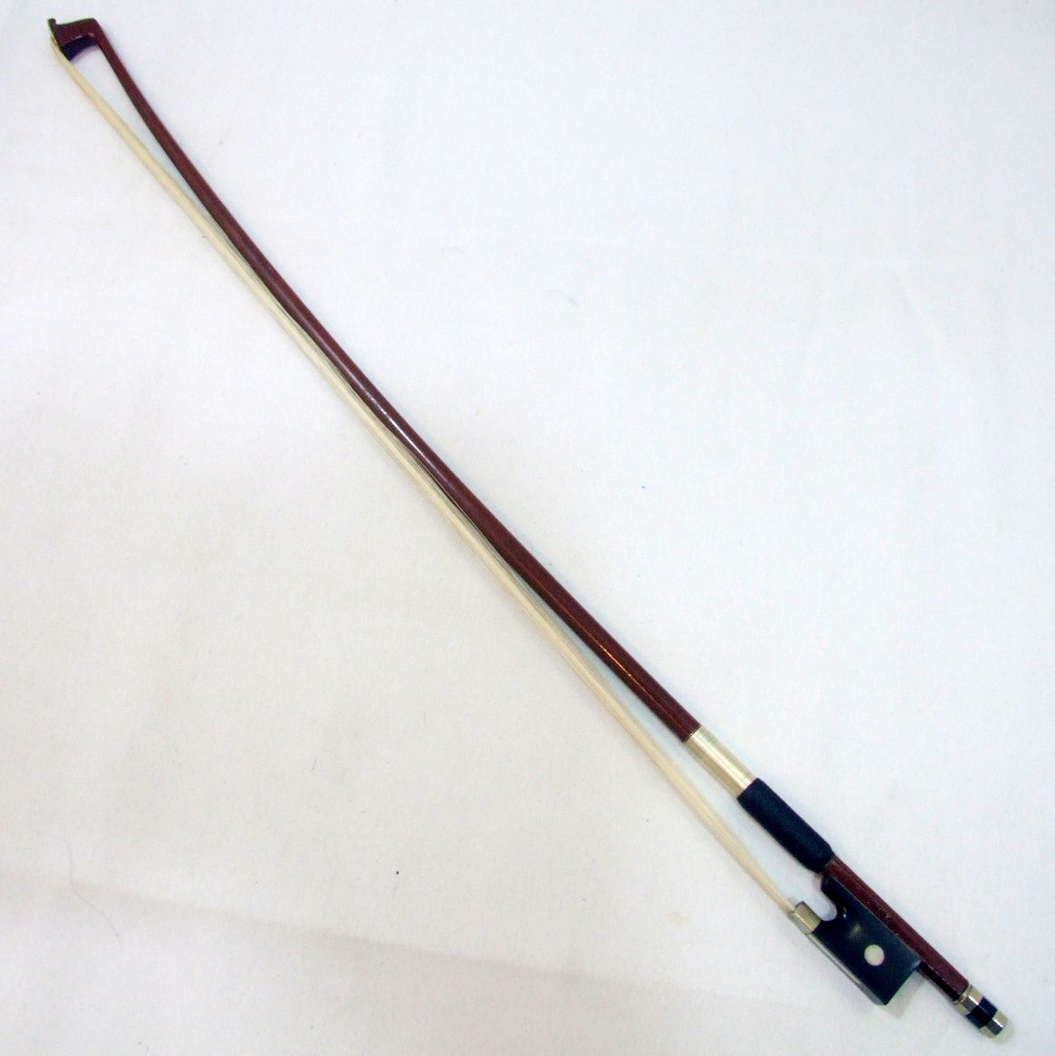 鈴木バイオリン