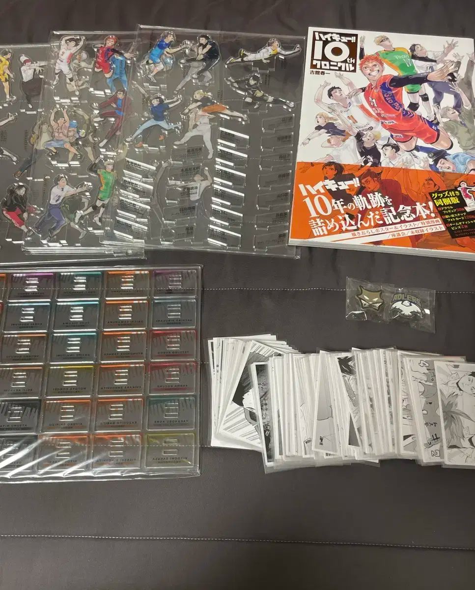 【雷市場（ポンジャン）商品韓国直送】 ハイキュー クロニクル すべての構成
