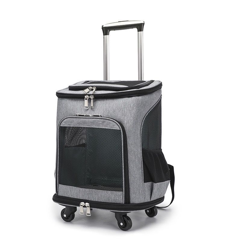 ssfw マロンバッグ ペットバッグ ペットキャリー ◇SSFW◇ New Maron