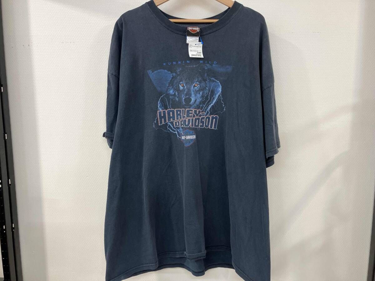 HARLEY DAVIDSON RUNNIN WILD 半袖Tシャツ プリントTシャツ 3XLサイズ 00s 00年代 ダブルステッチ