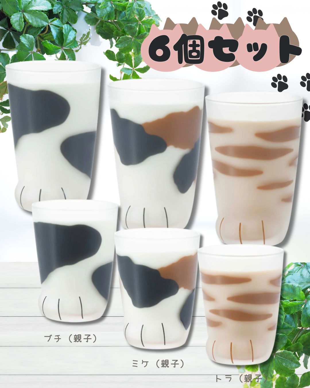 レア品種/ワイヤー付】ホヤ ラクノサ アサミ アルボマルギナータ O37