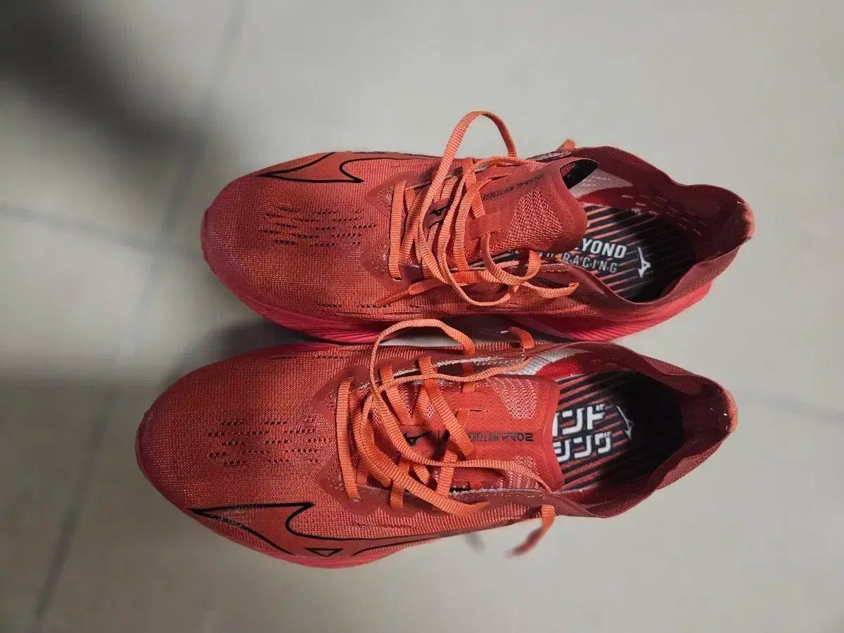 ミズノ リーベルリオン プロ2 265