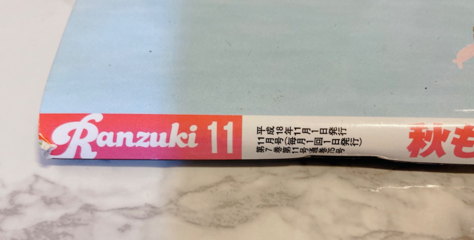 Ranzuki 18冊　まとめ売り 14)Ranzuki 平成18年11月号 - メルカリ