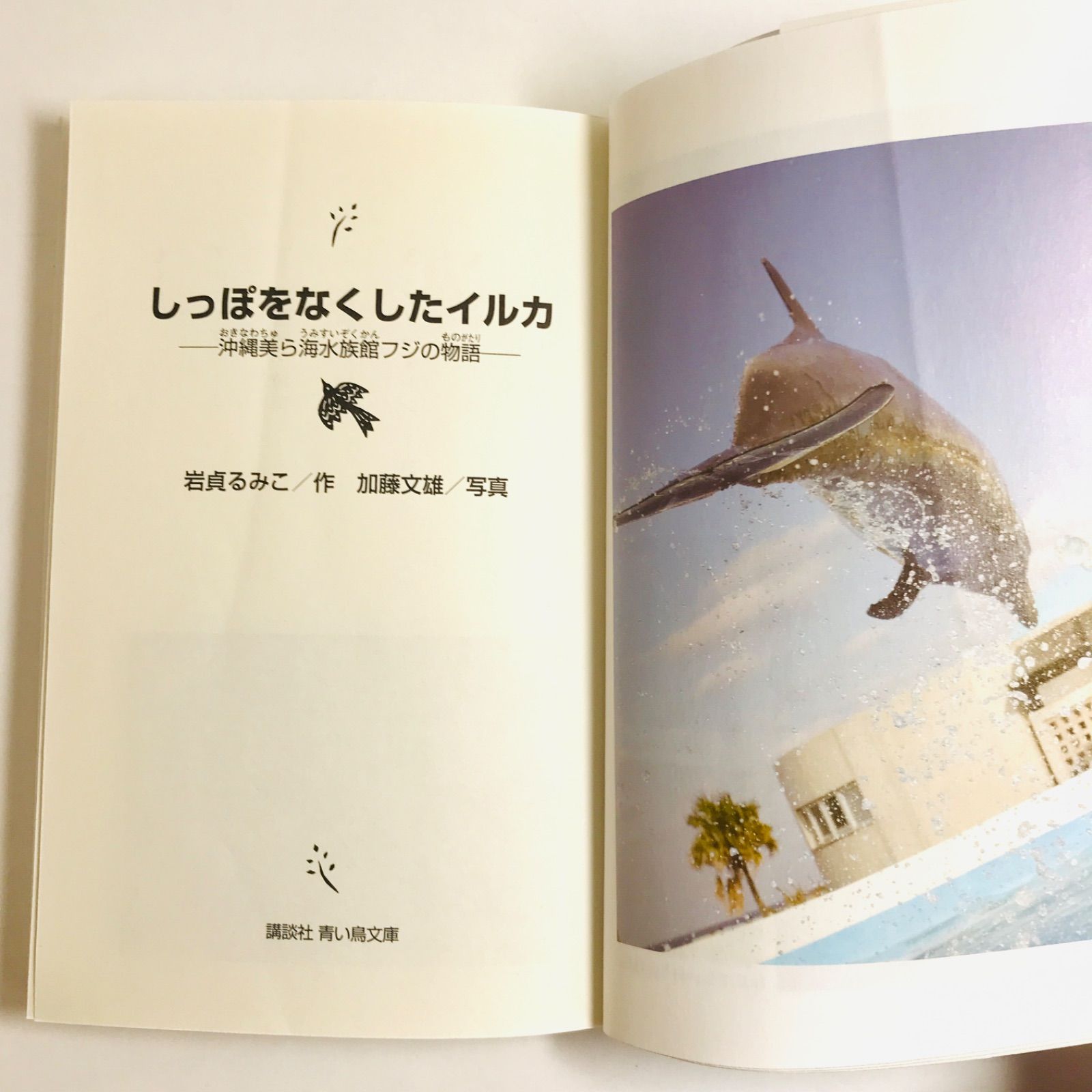 中古】 しっぽをなくしたイルカ -沖縄美ら海水族館フジの物語
