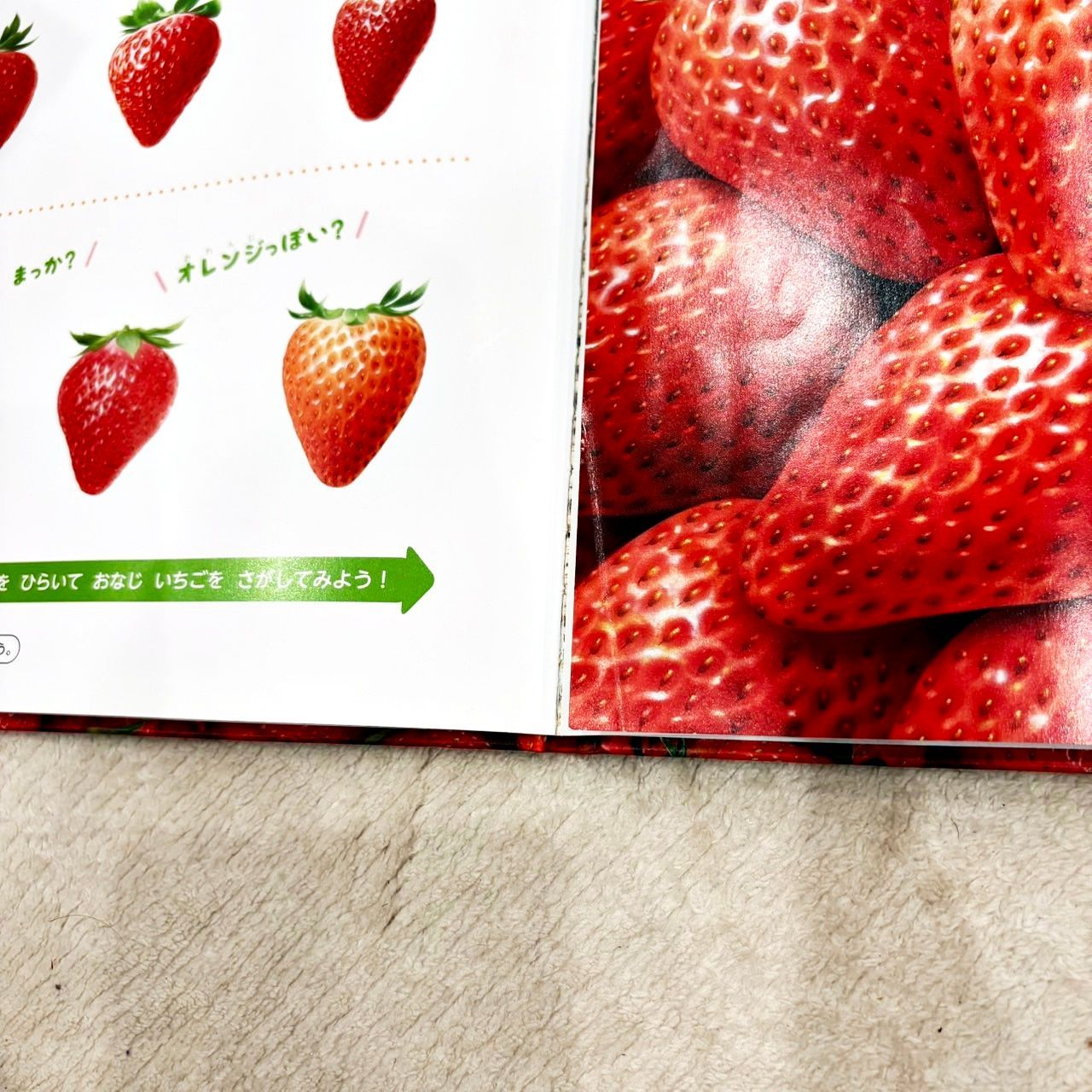しぜん キンダーブック 60冊セット フレーベル館 まとめて売り
